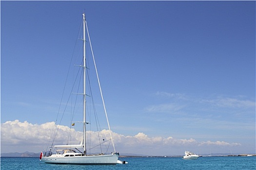 xs vĩnh long