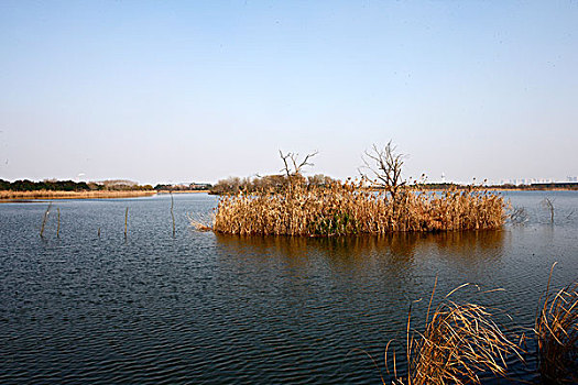 xổ số ngày thứ hai