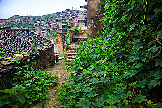 cau soi888