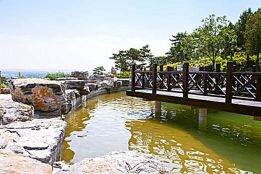 xem đá gà tre
