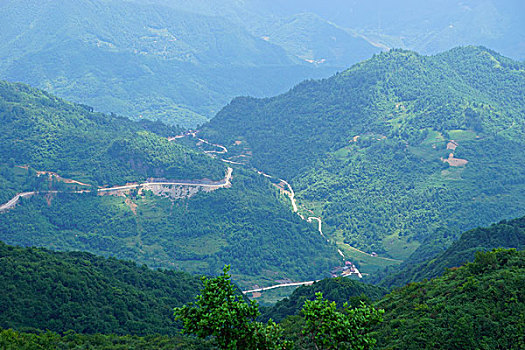 bạch thu de