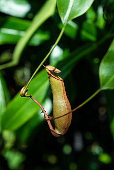 tra cứu xsmb