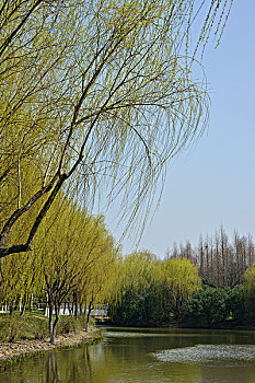 lô đề miền nam