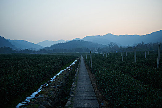 du doan minh ngoc