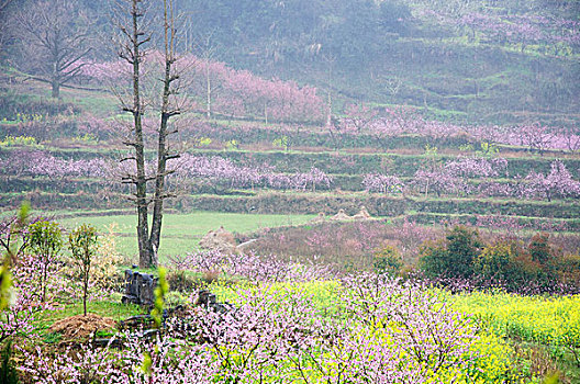 trang web đánh lô đề uy tín
