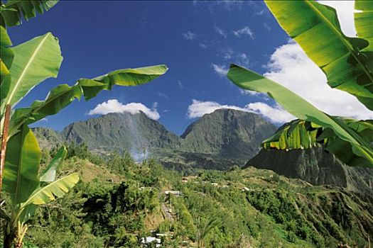 lo bach thu khung 3 ngay mien phi