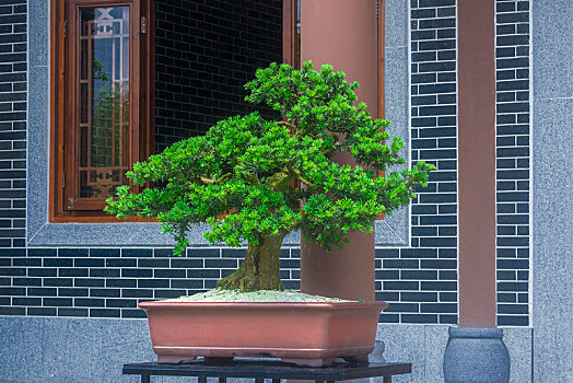 miền bắc hôm nay