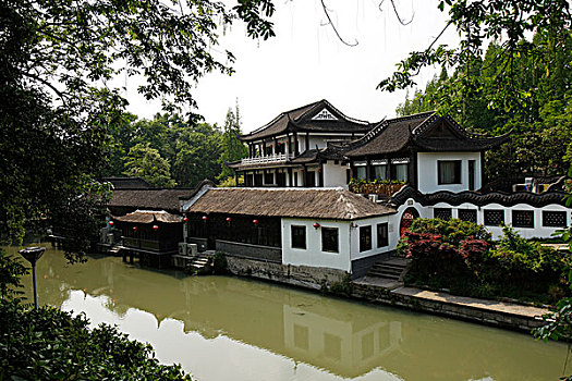 soi cau bach kim mb