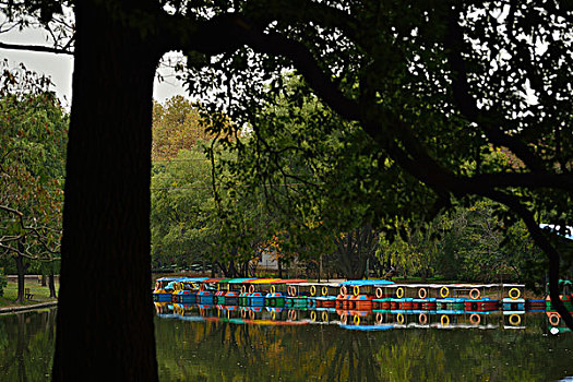 bạch thủ lô đề