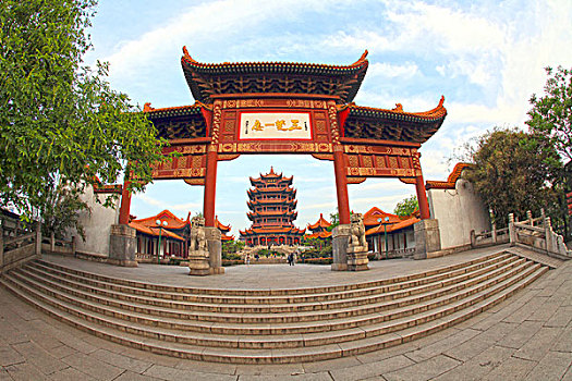 cầu bạch thủ miền bắc