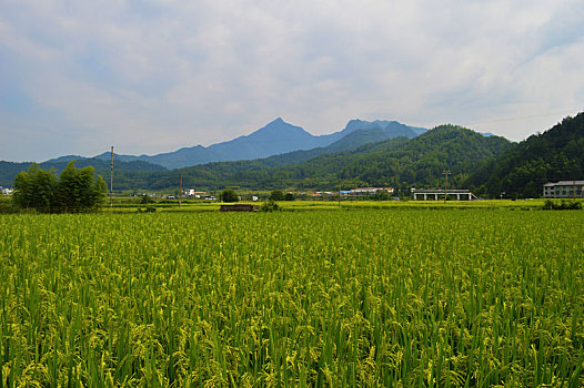 xsmb thu 6 du doan