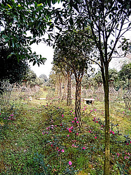 soi cầu xổ số minh ngọc