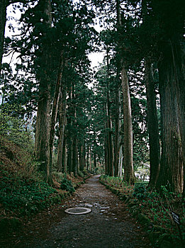 atrungroi