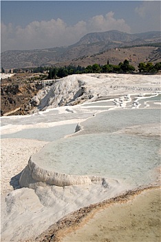 soi câu bach kim