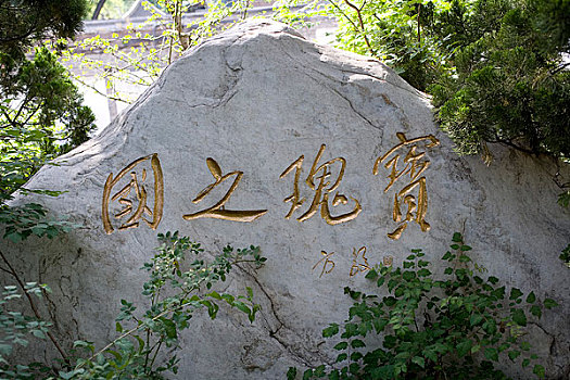 nhạc dj vn88