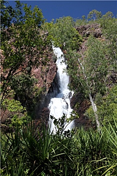 soi cau lo bach thu khung 5 ngay