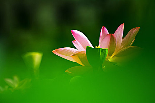 xổ số miền nam 30 ngày