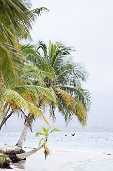 du doan xo so miền bắc