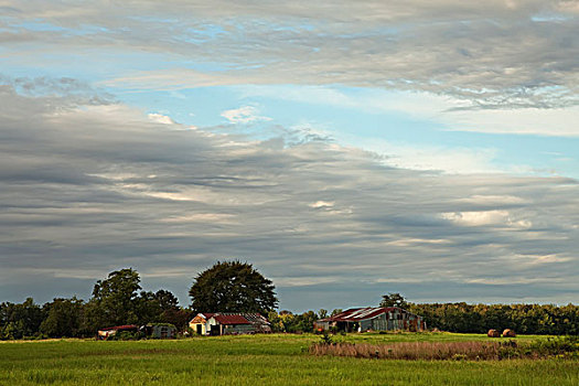 cầu bạch thủ thành phố