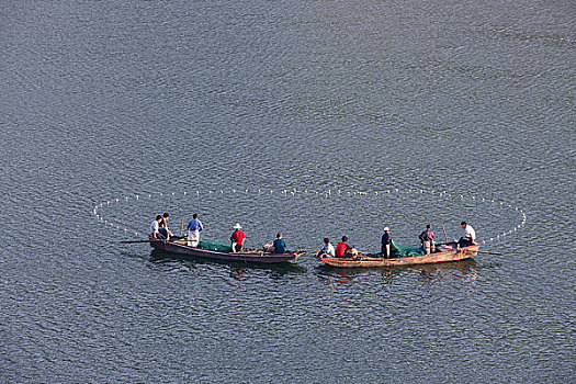 soi đề bạch thủ
