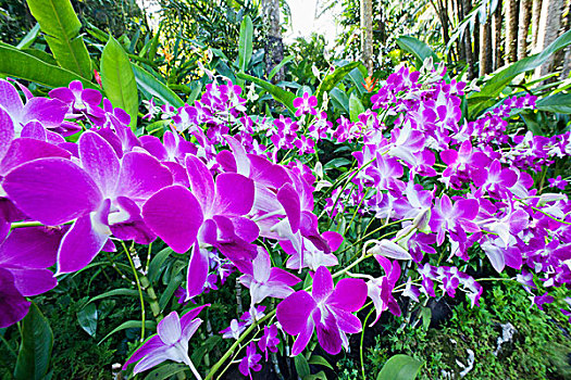 kqxs tien giang
