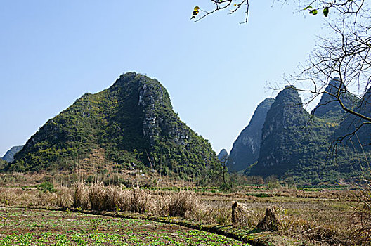 xsmn thứ 5