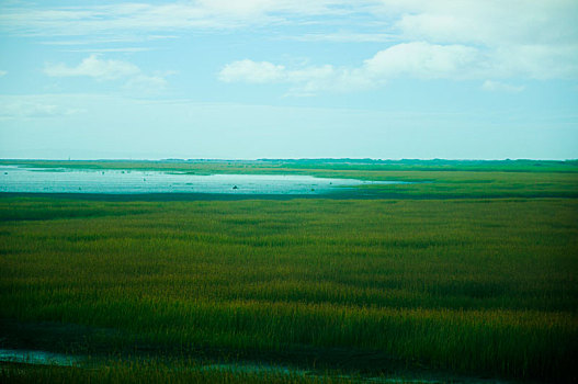 lodephomnay net