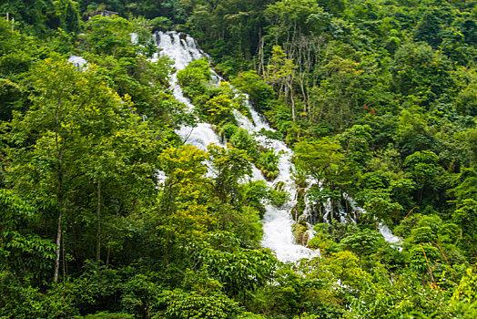 lô gan miền nam