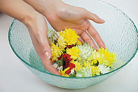 số đề miền bắc
