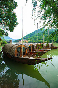 soi cau lo gan