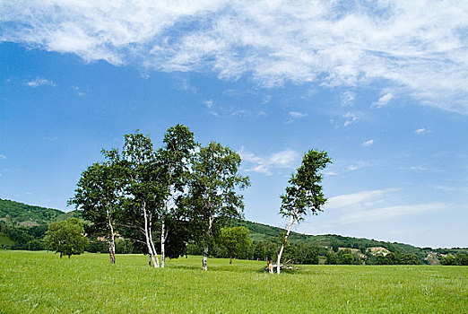 xổ số mt