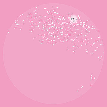 kqxs 30
