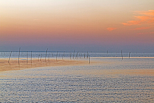 cầu miền bắc