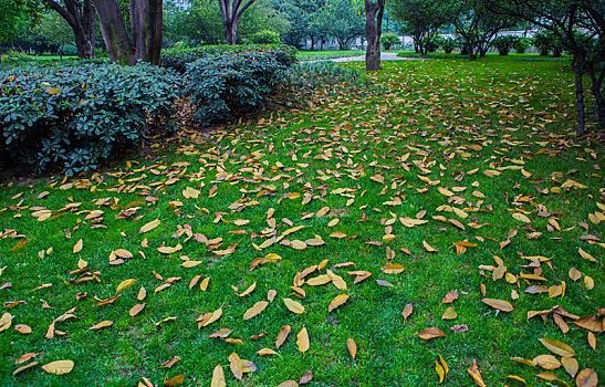 soi cầu xổ số gia lai