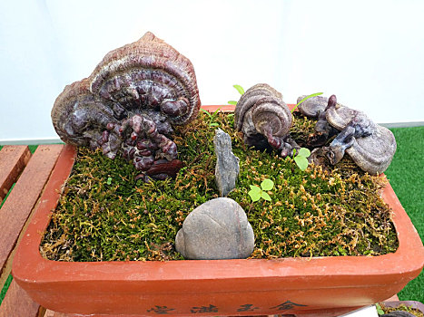 xổ số kiên giang hôm qua