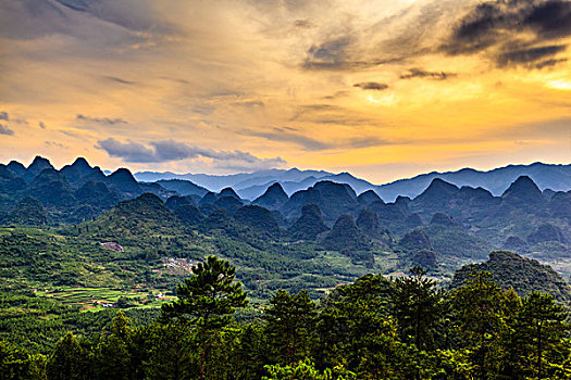 soi cau sieu chuan 6886
