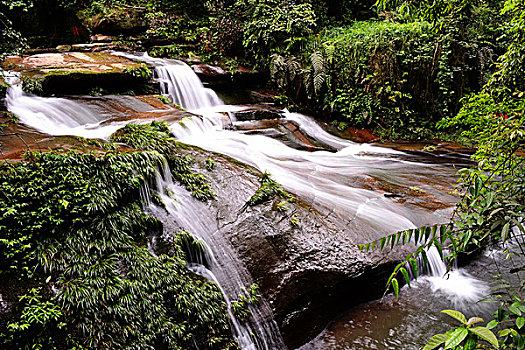 soi cầu kép