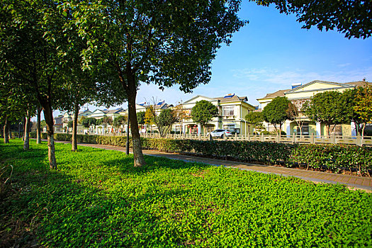soi cau than tai