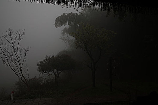 xs hậu giang