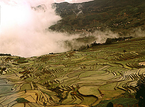 soi cau dan nguyen
