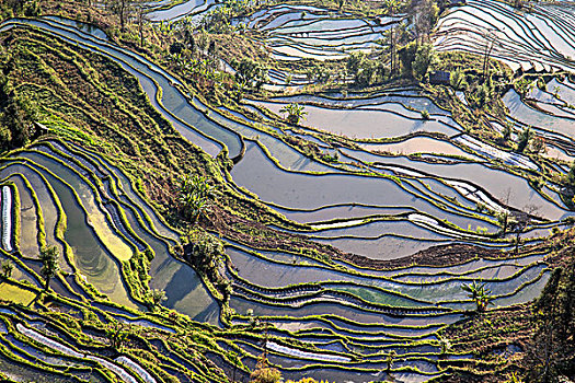 du doan xo so dong nai