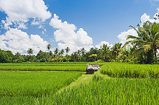 du doan xo so phu yen wap