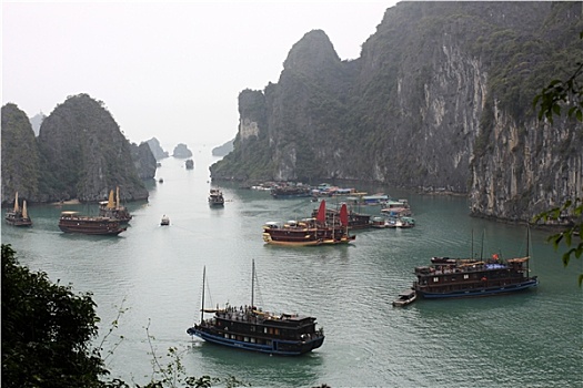 bạch thu mb